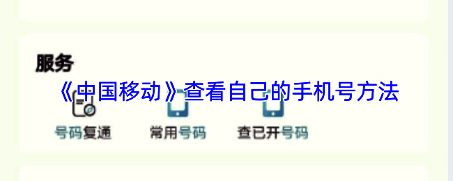 中国移动APP操作界面示意图，显示个人信息页面中的手机号位置