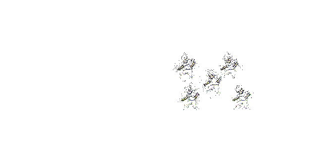 卡鲁伊释放奥义云流·雷利斩，雷光四射，敌人被定身并麻痹