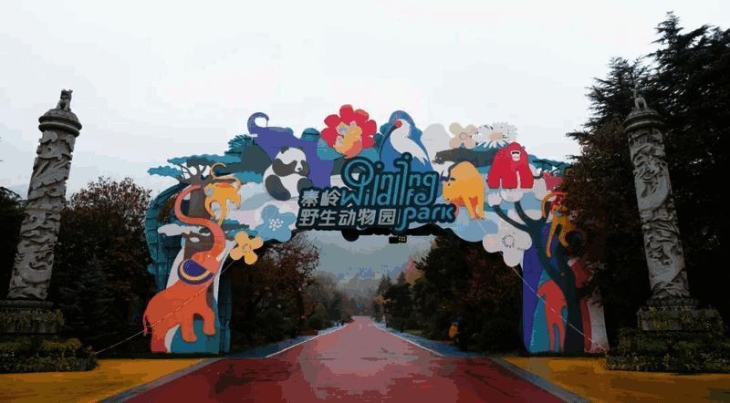 全新场景花果山，绿意盎然的山水之间，猴子成群嬉戏