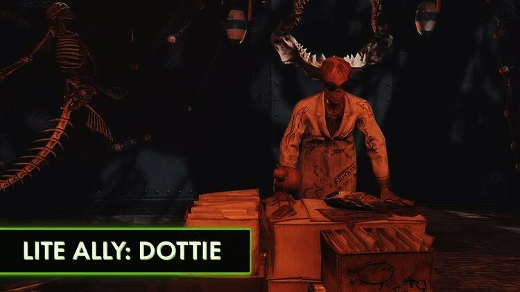 多种鱼类展示图，包括普通鱼、发光鱼与蝾螈