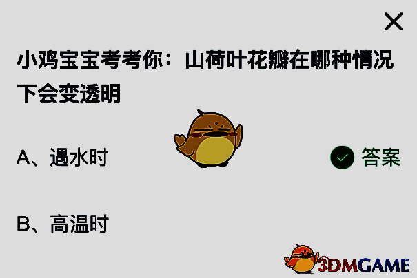 山荷叶花瓣遇水变透明的科学解释图示