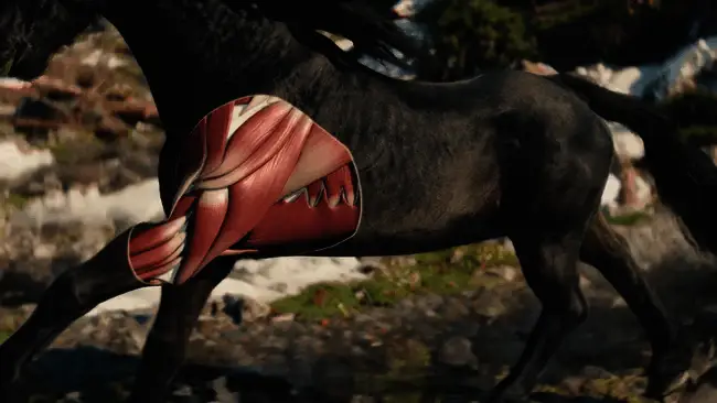 希里骑在战马上，身体姿态自然贴合，展现出高精度的动作同步效果