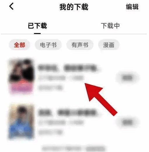 红果免费短剧小说列表展示图
