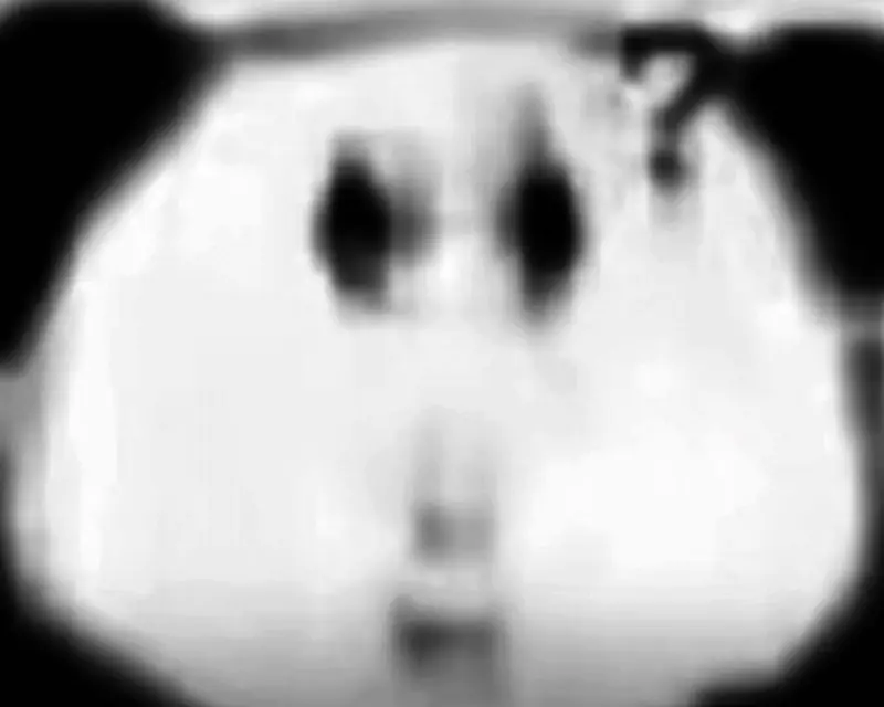 《超级忍》不同世代美术风格对比图，呈现像素、3D与手绘三种风格