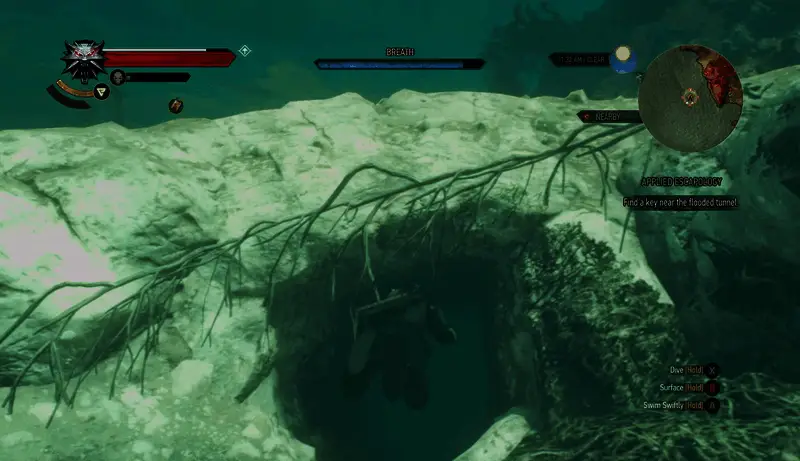 《巫师3》游戏世界全景截图，展示广袤的开放地图与自然环境