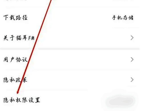 设置页面中【隐私权限设置】条目被选中展开详细配置界面