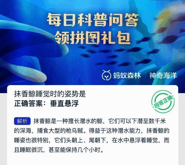 神奇海洋答题界面示意图，展示今日问题和选项