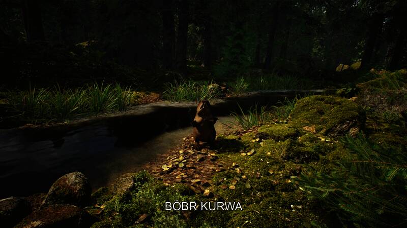 蘑菇分类界面展示，屏幕上显示多种蘑菇的详细信息