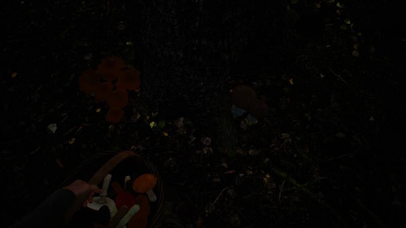 玩家点燃篝火准备烘干蘑菇的场景