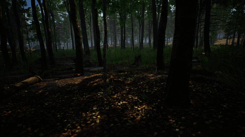 蘑菇在火堆上缓慢烘干的特写画面