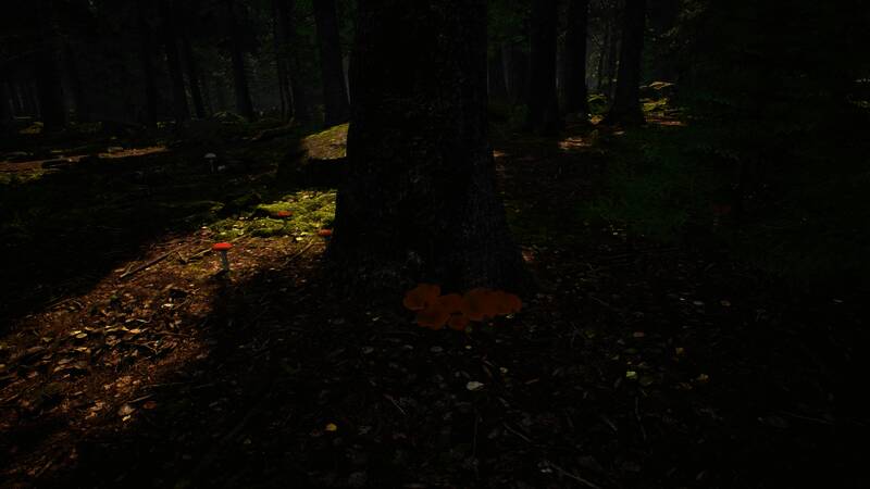 夜晚森林的场景，萤火虫飞舞，营造出梦幻般的氛围