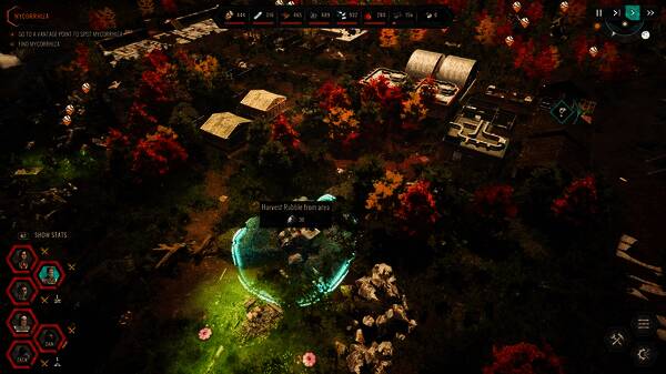 角色在野外遭遇敌对势力，进入战斗状态的紧张场景