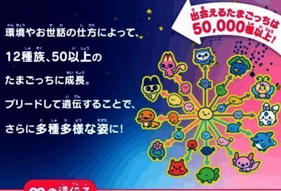 三款主题款式对比图，陆地、水乡、天空各具特色