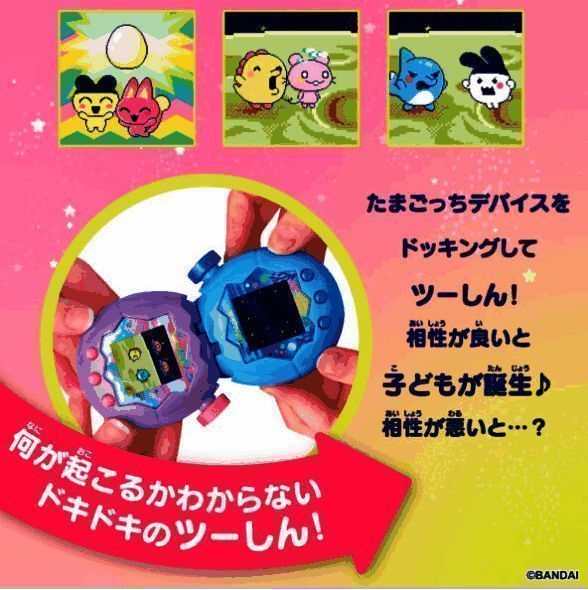 两只鸡仔互动场景图，一只温柔依偎另一只则张翅对峙