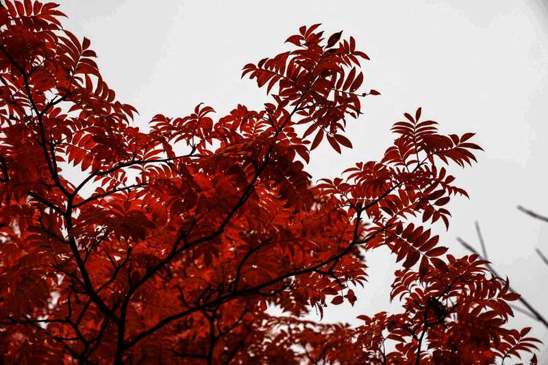 夜幕降临时的城市灯光与古老建筑交相辉映