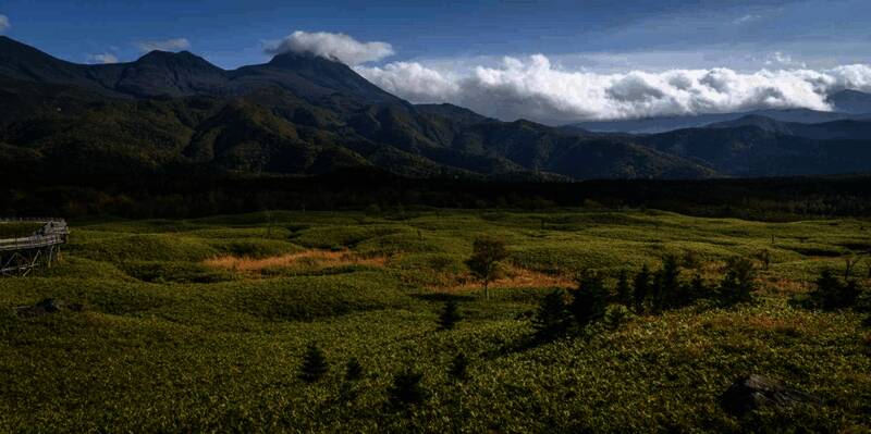 开发团队在北海道知床半岛进行实地考察，面对自然美景与潜在危险