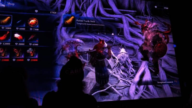 《艾尔登法环：黑夜君临》地图探索截图，黑暗奇幻风格场景一览