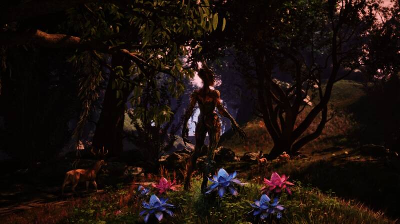  Bethesda官方公告截图，内容为对中文翻译问题的说明