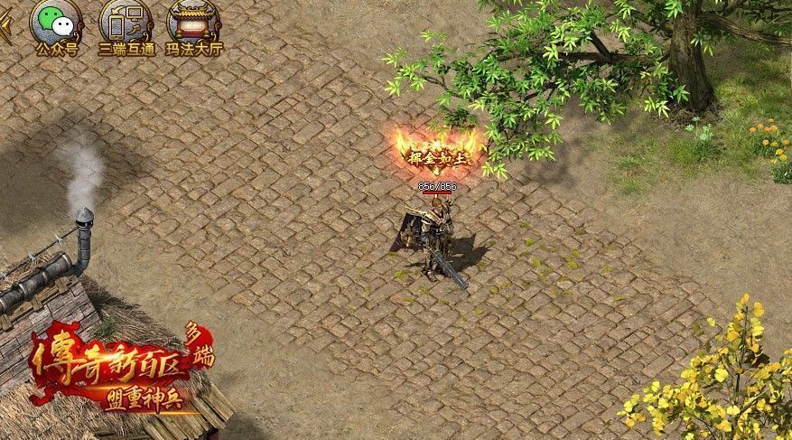 挥金如土称号展示图，彰显尊贵身份