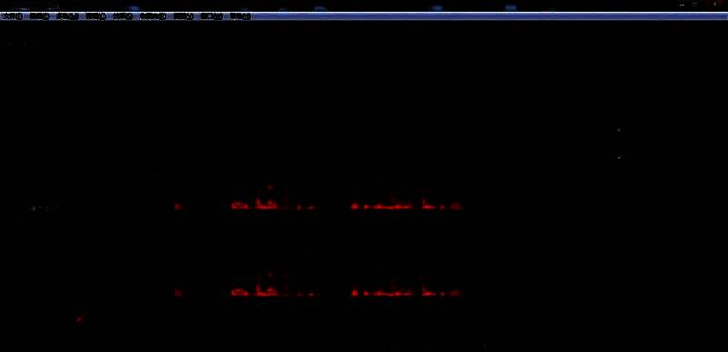 导出设置界面展示，用户正在选择音频格式和编码参数