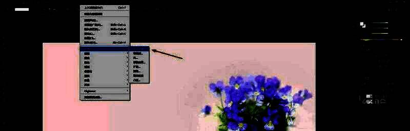 油画效果应用后的图片预览，展示转换后的艺术风格