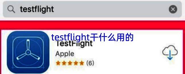 TestFlight应用界面展示，蓝色图标简洁明了，突出其专业测试平台定位