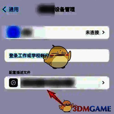 设备管理界面中展示的TestFlight描述文件信息页面