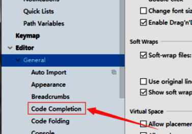 Code Completion页面展开状态，右侧选项区清晰列出各项补全行为控制项
