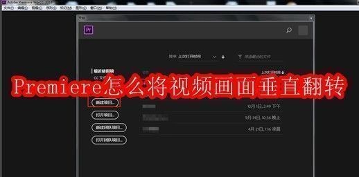 Premiere软件界面截图，展示主操作区域与时间轴布局