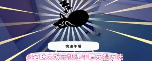 小猫咪大城市中房顶上熟睡的白猫，阳光洒在它身上，画面温馨治愈