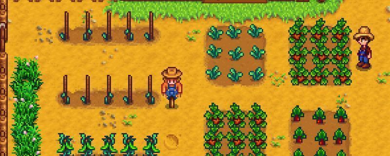 星露谷物语春季农田画面，角色正在采摘草莓，阳光洒在绿油油的作物上