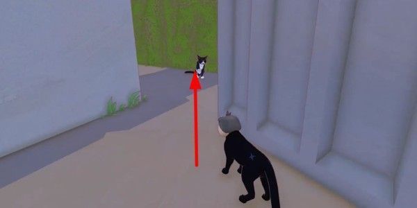 玩家角色蹲下与猫咪互动界面截图，对话框显示‘学会了新的动作：日常美容！’