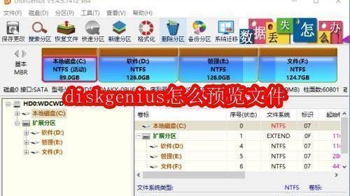 DiskGenius主界面展示，左侧为分区目录树状结构，右侧为文件浏览区域