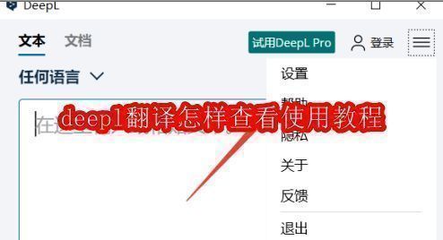 DeepL软件主界面截图，清晰展示菜单栏和功能按钮布局