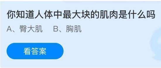 支付宝蚂蚁庄园7月21日答题界面截图，显示题目‘你知道人体中最大块的肌肉是什么吗’