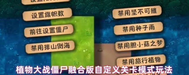 植物大战僵尸融合版游戏主界面截图，展示自定义关卡入口按钮