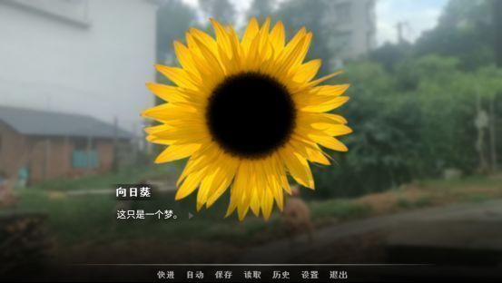 角色内心世界的抽象表现，破碎的记忆片段漂浮在黑暗空间中