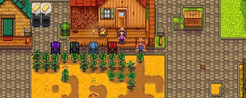 《星露谷物语》中玩家在农场内使用木桶酿造葡萄酒的界面，背景为成熟的葡萄藤和阳光洒落的田园景色