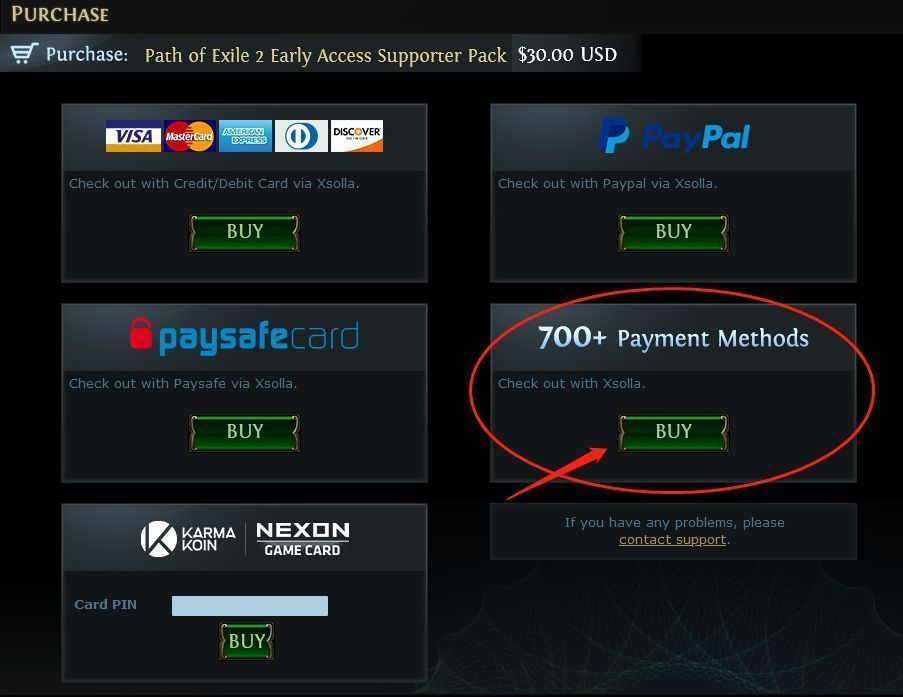 网页端购买流程截图，显示支持多种国际支付方式，页面标注多语言选项，方便全球用户操作