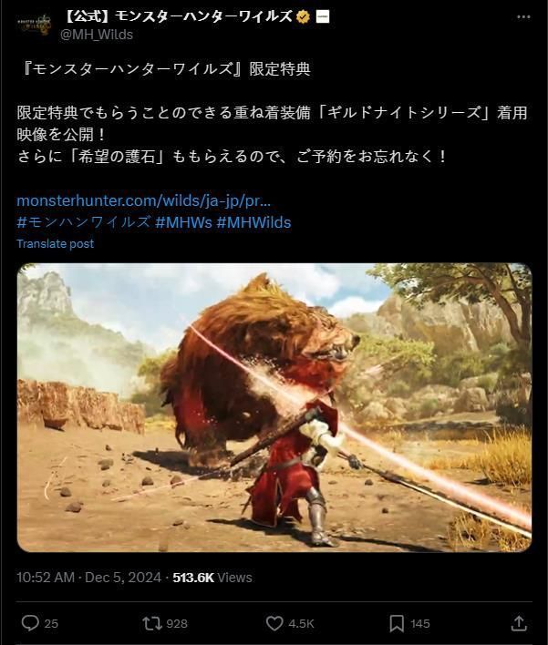 角色穿戴公会骑士装备在草原地带与大型怪物对峙，背景为夕阳下的广阔荒野，氛围感十足