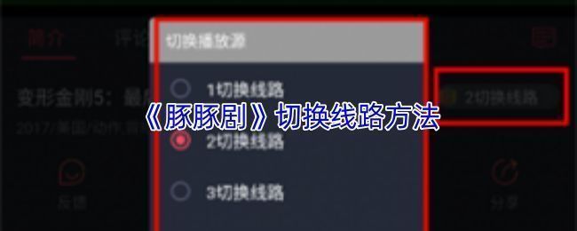 豚豚剧播放界面示意图，屏幕中央显示‘线路切换’按钮位置