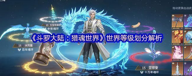 《斗罗大陆：猎魂世界》游戏内等级界面展示，清晰呈现从魂士到神王的完整等级段划分