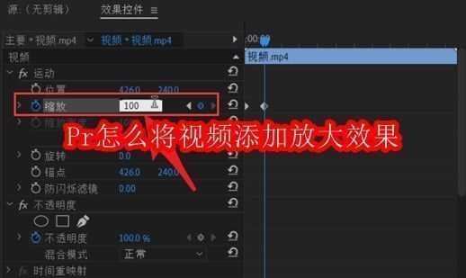 Adobe Premiere Pro界面展示视频剪辑工作流程，时间轴与预览窗口清晰可见