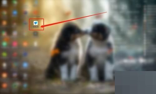 鼠标右键点击Todesk图标，弹出菜单显示以管理员身份运行选项