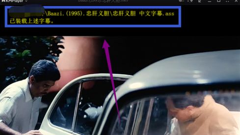 视频播放画面下方显示清晰的中文字幕