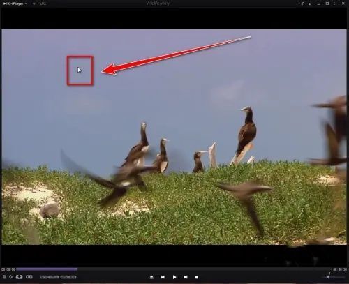 鼠标右键弹出菜单界面，选项列表展开，'播放'功能高亮显示