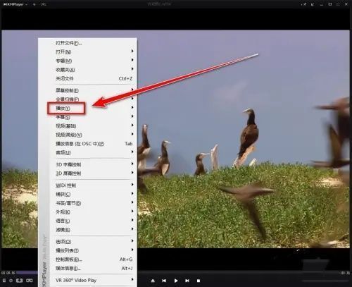 播放设置子菜单展开，包含'快'、'慢'、'正常速度'等选项