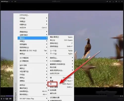 用户正在点击'快'选项，播放速度已提升至1.25倍，状态提示清晰可见