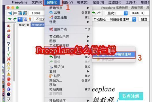 Freeplane思维导图界面展示，主节点周围分布多个子节点，部分节点旁显示注解图标