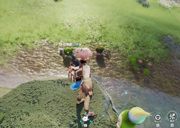 花芽蟹在溪水中爬行，头部绽放粉色花苞，水波泛起涟漪